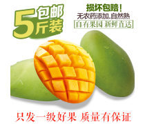 越南玉芒芒果产品信息