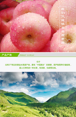 新鲜水果_产地批发 特产新鲜水果富士苹果生态果吃 直销批发 