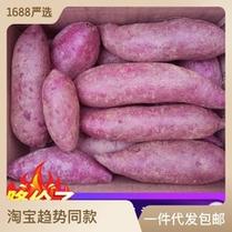 【香甜粉糯】沙地紫薯新鲜紫心蜜薯红薯地瓜番薯蔬菜批发2/5/10斤