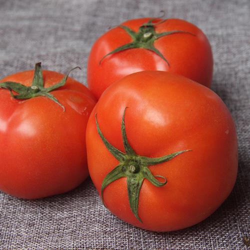 新鲜蔬菜西红柿 绿色食品番茄 厂家批发 成都配送
