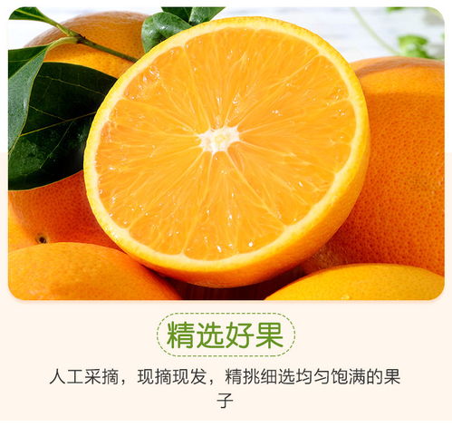 四川高山脐橙10斤橙子水果当季水果新鲜薄皮超甜冰糖橙批发2 5斤