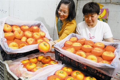 指导商户建冷库 水果保鲜不犯难